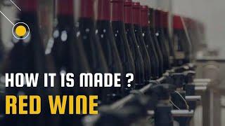 How Red Wine is Made I Process of making Red Wine