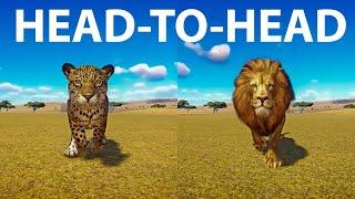Jaguar vs Lion Ahead to Head Speed Race in Planet Zoo