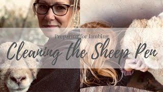 Cleaning the Sheep Pen | Preparing for Lambs