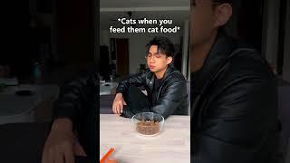 Cats are our boss