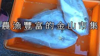 早安 農漁產豐富的新北市金山市集 真鯛 剝皮魚 茭白筍 黑貓鱠 石狗公 白毛