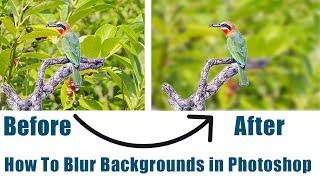 background blur effect photoshop l blur a background in Photoshop l blur background l Blur images