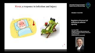 Jian-feng CHEN - Regulation of Immune Cell trafficking by adhesion signaling