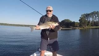 Chris Newsome Bay Fly Fishing Sept 2017 Stripers