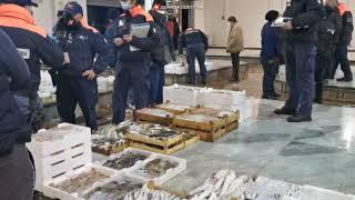Operazione Atlantide della guardia costiera sul litorale romano - Canale 10