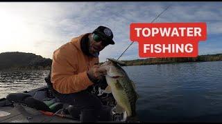 TOP WATER FISHING J Walker Berkley