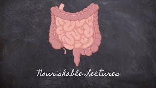 Intestines | Part 6 Foundations in Digestion | Nourishable Macronutrients Lecture 9