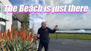 The BEST beachfront garden you'll ever see!!