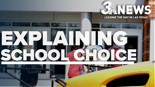 What is school choice and why was it on the ballot?