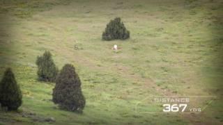 Alvey Media Group - Savage "Accuracy" Ad