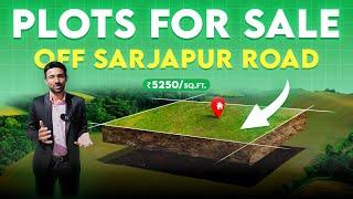 Plots For Sale In Sarjapur Road | Felicity Villa Plots By Bricks and Milestones | Bangalore