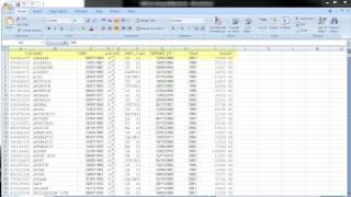 CaseWare IDEA Tutorials: Importing An Excel Spreadsheet