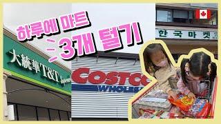 Eng) 하루에 마트 3개 털기 | 워터루 T&T 슈퍼마켓 | COSTCO | 키치너 한국마켓 |  Waterloo T&T | Kitchener Korean Market