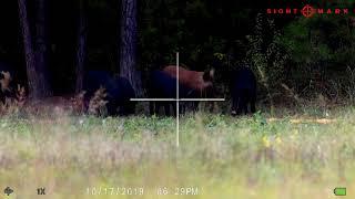 Cliff and Mike shoot same pig at the same time