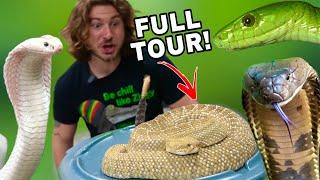 Full VENOMOUS SNAKE Room Tour!