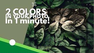 Blend your photo in 2 colors! | In 1 minute