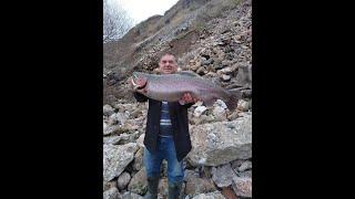 BÜYÜK ALABALIK AVI 7 KG (BİG TROUT HUNT)