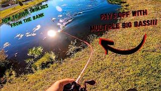 HOW TO  Fish a Swim Jig From the Bank- Pays off with multiple Big Bass!!!