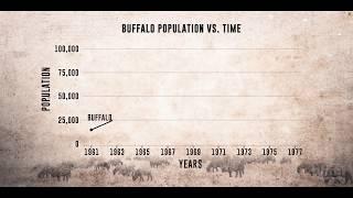 Mystery of the Buffalo Boom | HHMI BioInteractive Video