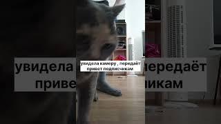 спасибо большое за просмотр  #влог #еда #рецепт#диабетик