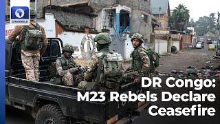 Rebels Declare Ceasefire In DR Congo + More | Network Africa