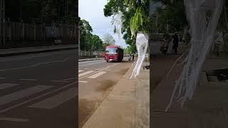 LATEST ASHOK LEYLAND LYNX 4200 GOVERNMENT SLTB SMALL BUS IN SRI LANKA