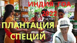 Экскурсия на плантацию специй  Гоа,Индия 2022г