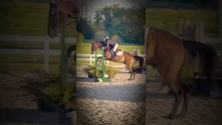 so i actually love my eq in this ‍️