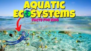 Top Facts About AQUATIC Ecosystems   Educational Lessons for Kids