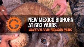 LRP Highlights | S1 E17 New Mexico Bighorn at 683 Yards