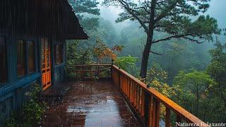 Rain Sounds for Sleeping | 99% Instantly Fall Asleep | Heavy Stormy Rain & Strong Thunder in Forest