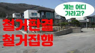 부동산경매: 건물철거 집행, 명도현장. 개는 어디가라고!