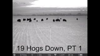 19 Hogs Down - Part 1