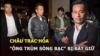 Châu Trác Hoa - "Ông trùm sòng bạc" bao nuôi dàn mỹ nhân Hong Kong bị bắt giữ