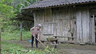 What will Tu Nhat life be like on her first day in an abandoned house deep in the forest?