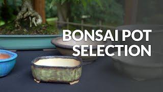 Selecting the right Bonsai Pot