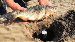 EXPERIMENT XXL FIREWORK VS FISH