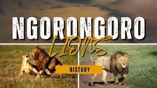 Leones del CRÁTER NGORONGORO | History and Conservation #nature #viral #lion #animal