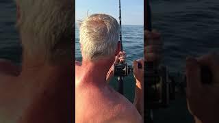 Scot catching a blue, a striped bass, a blue, nothing