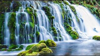 Beautiful Relaxing Music For NervesCalm Music with Waterfall Sounds For The Heart & Blood Vessels