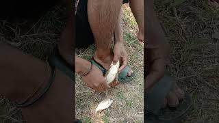 #fishing vlog | pond fishing blog#@