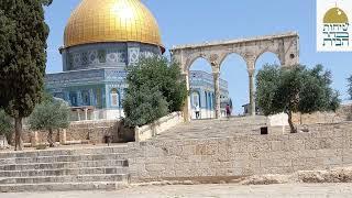 peace will come to the Temple Mount.הר הבית, ג' בתמוז, פטירת הרבי מלובביץ השבעת הממשלה וגאולת המקום