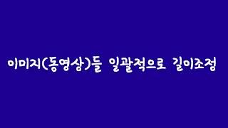 베가스 불러온 이미지(동영상)들 일괄적으로 줄이거나 늘리기 강좌