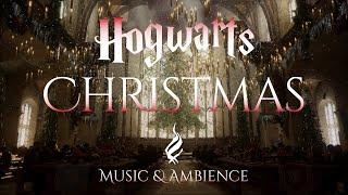 Christmas at Hogwarts | Harry Potter Music and Ambience from Hogwarts Legacy | 2024