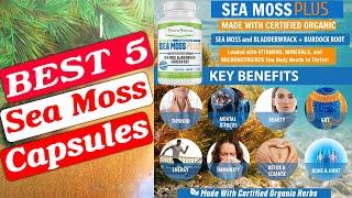 Best 5 Sea Moss Capsules | Easy To Decide | Best Gadget |