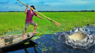 Best Boat FishingVillage lover's Fishing Video |  Best Fishing Moment