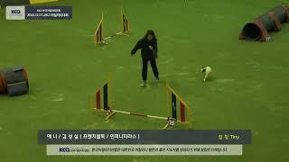 20221217 점핑 김성실 애니