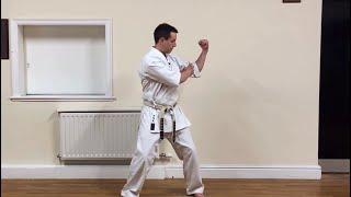 vDojo Snippet - Naihanchi Nidan Dynamics