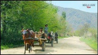 PAKISTANI VILLAGE LIFE 2019