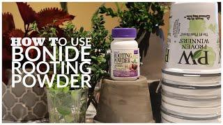Rooting Cuttings with Bonide Rooting Powder (Bontone II Rooting Powder)|Jhuly's Aquatics & Gardening